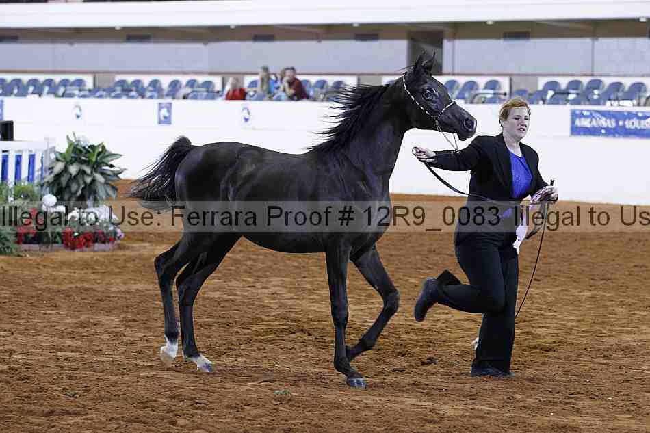 Proof Number 12r9_0083