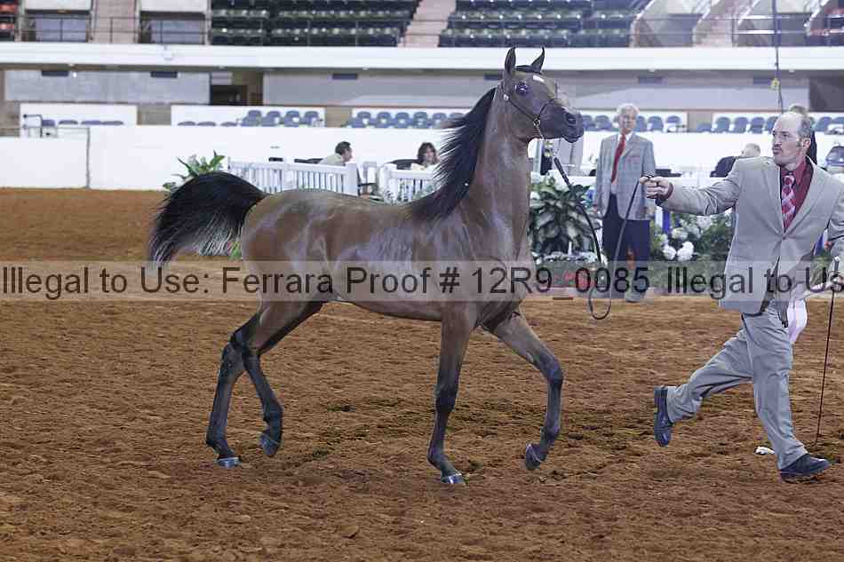 Proof Number 12r9_0085