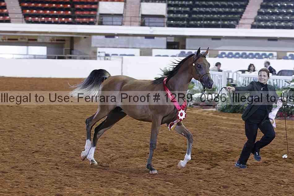 Proof Number 12r9_0086
