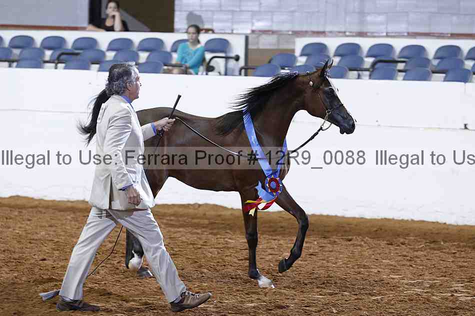 Proof Number 12r9_0088