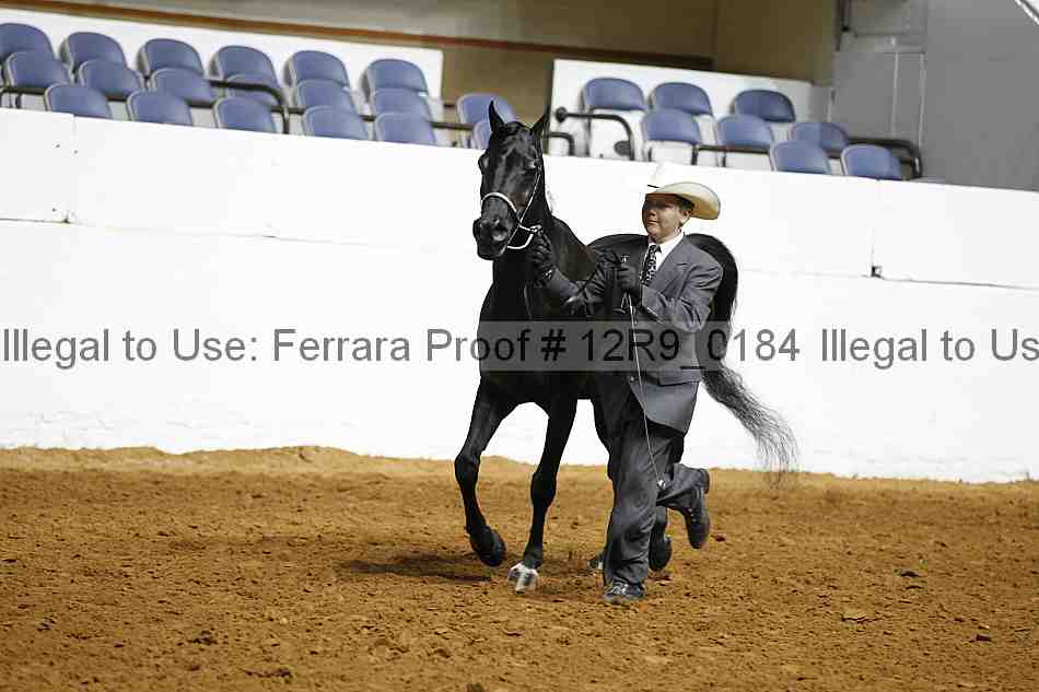 Proof Number 12r9_0184