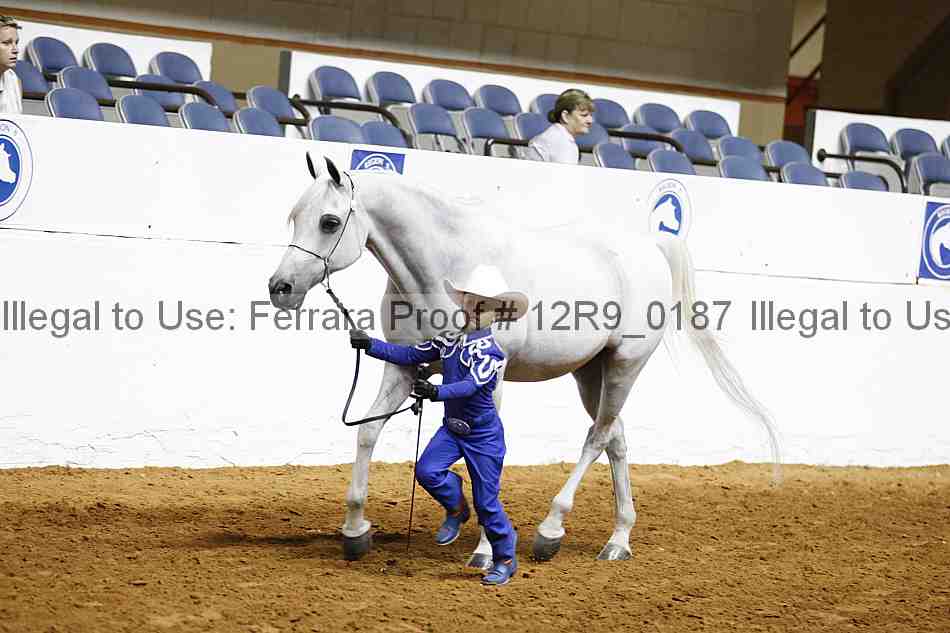 Proof Number 12r9_0187