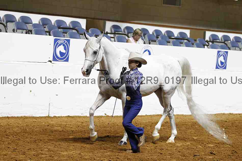 Proof Number 12r9_0197