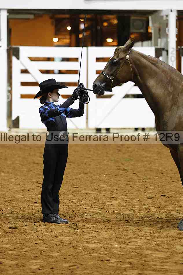 Proof Number 12r9_0203