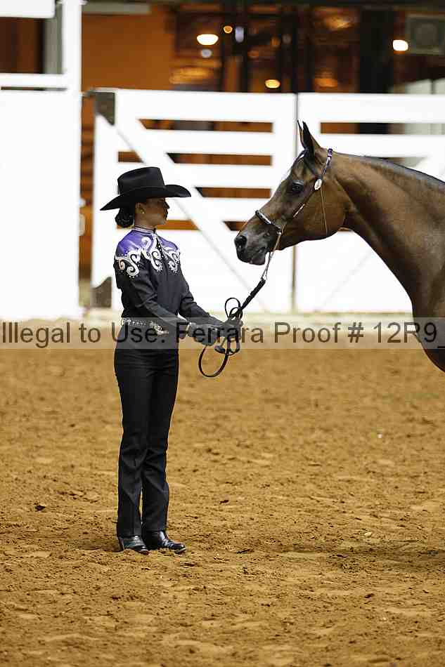 Proof Number 12r9_0205