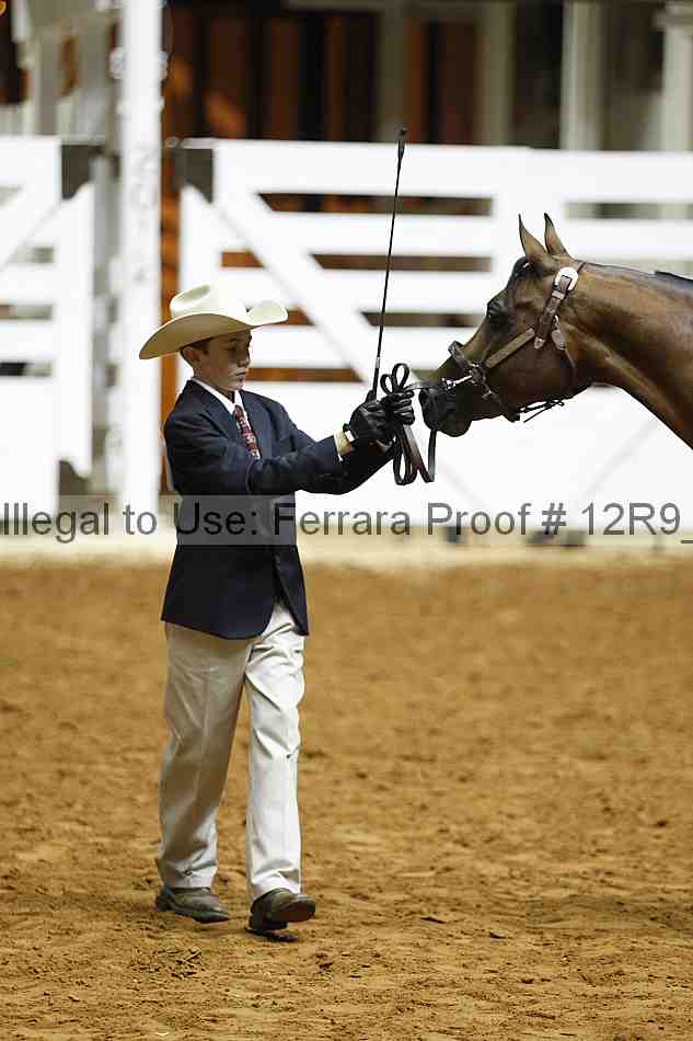 Proof Number 12r9_0206