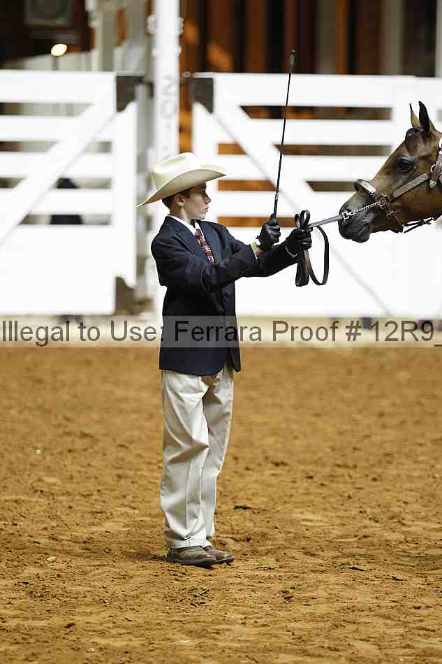 Proof Number 12r9_0207