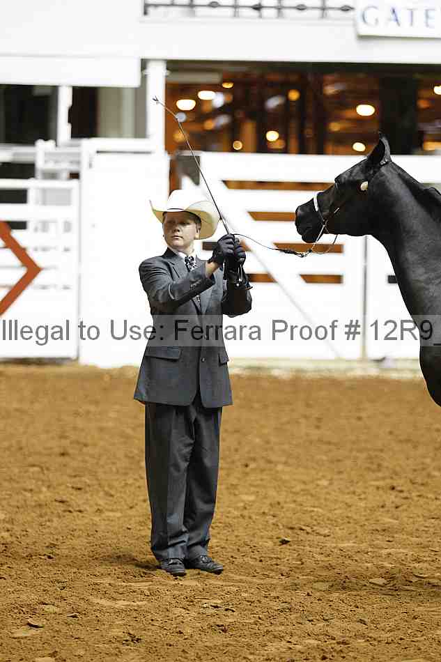 Proof Number 12r9_0211