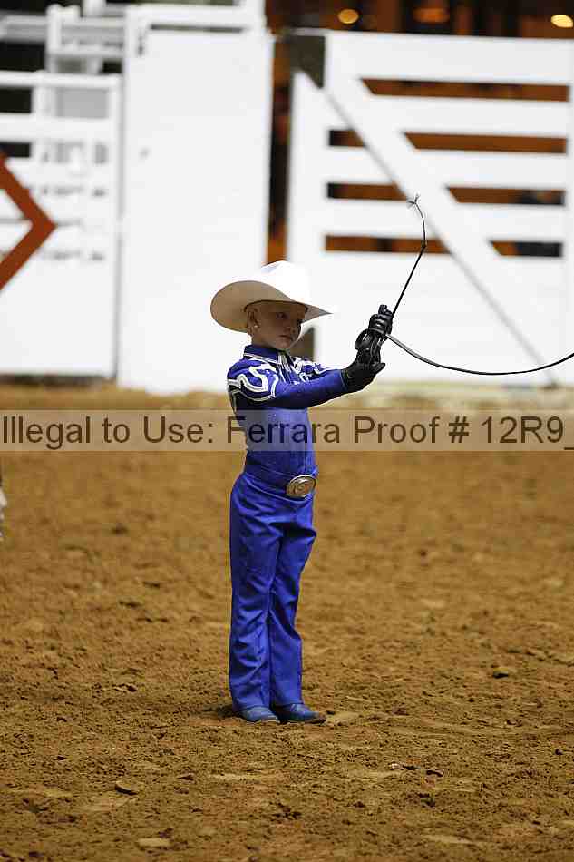 Proof Number 12r9_0213