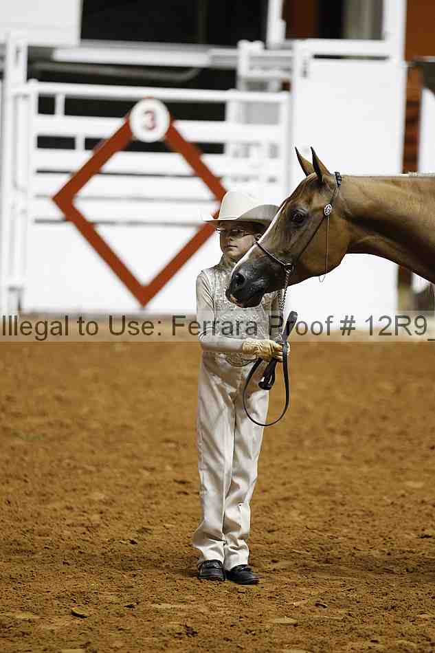 Proof Number 12r9_0214