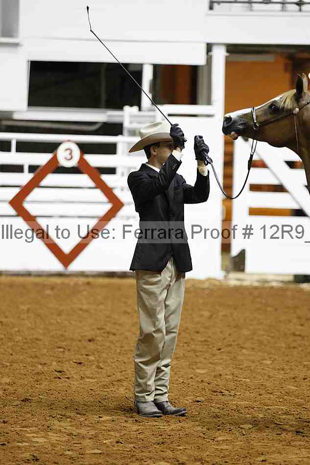 Proof Number 12r9_0216