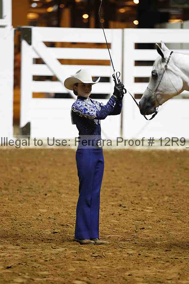 Proof Number 12r9_0218