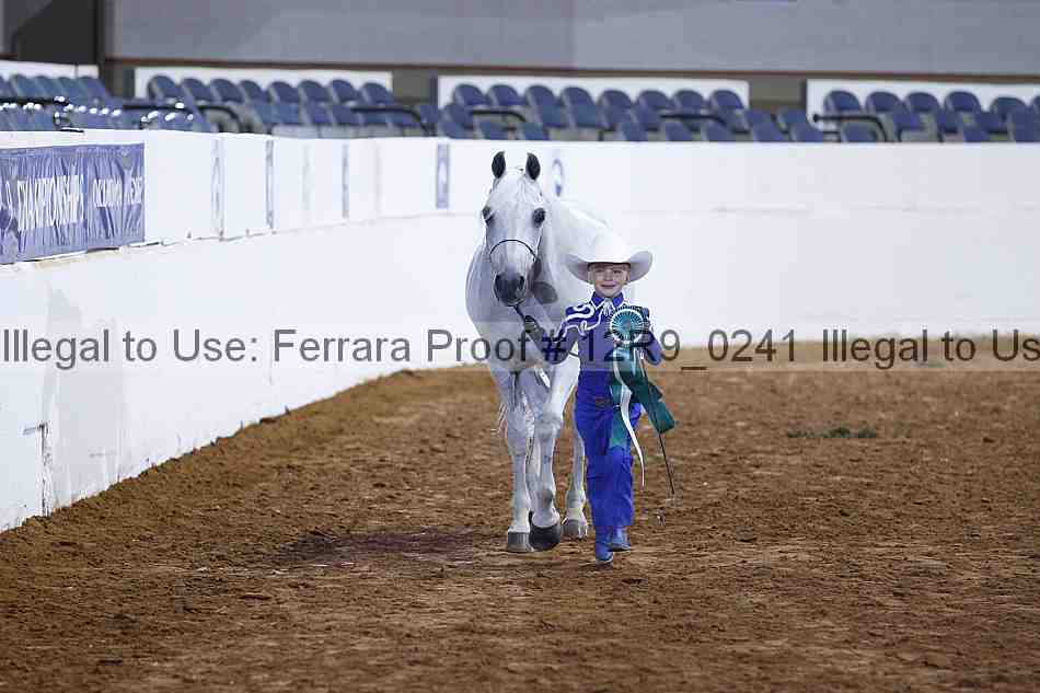 Proof Number 12r9_0241