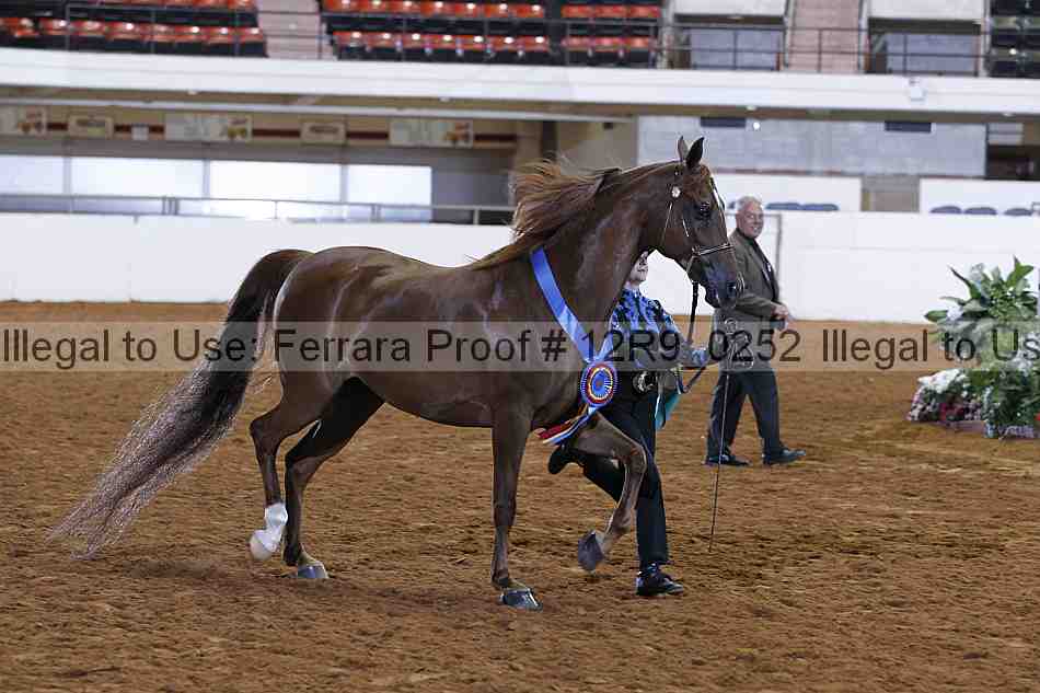 Proof Number 12r9_0252