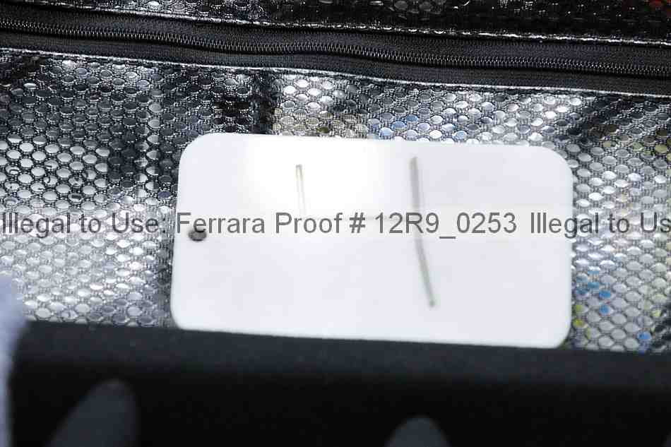 Proof Number 12r9_0253