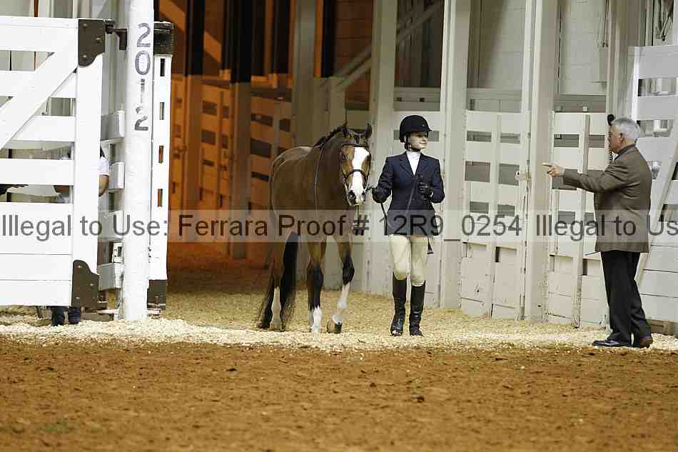 Proof Number 12r9_0254