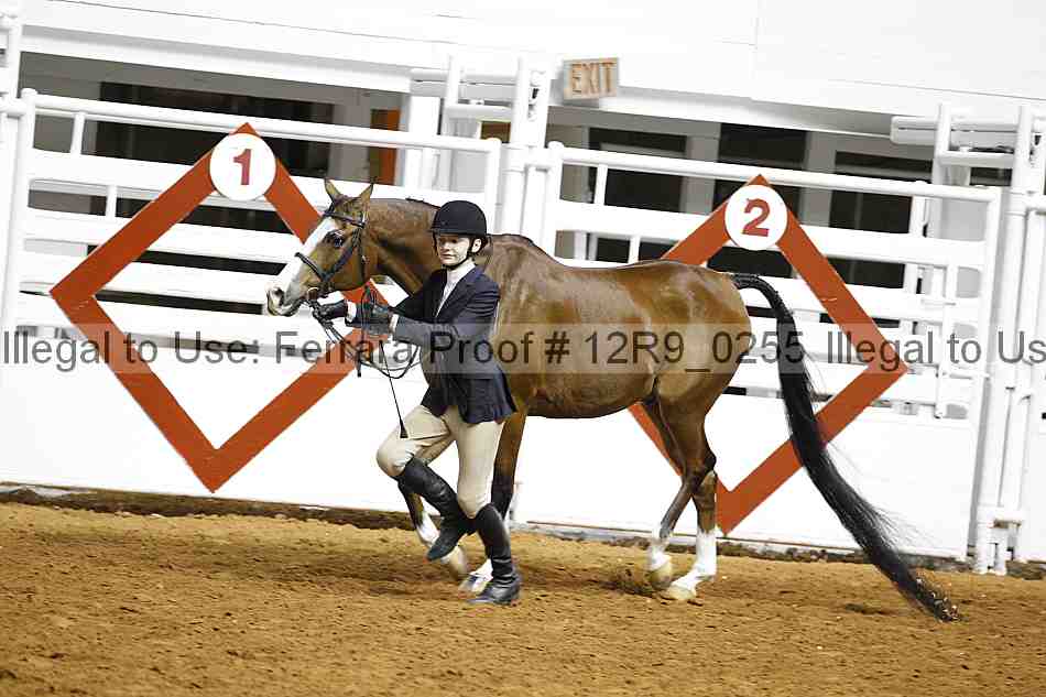 Proof Number 12r9_0255