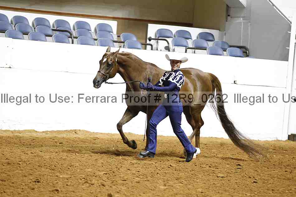 Proof Number 12r9_0262