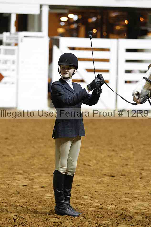 Proof Number 12r9_0271