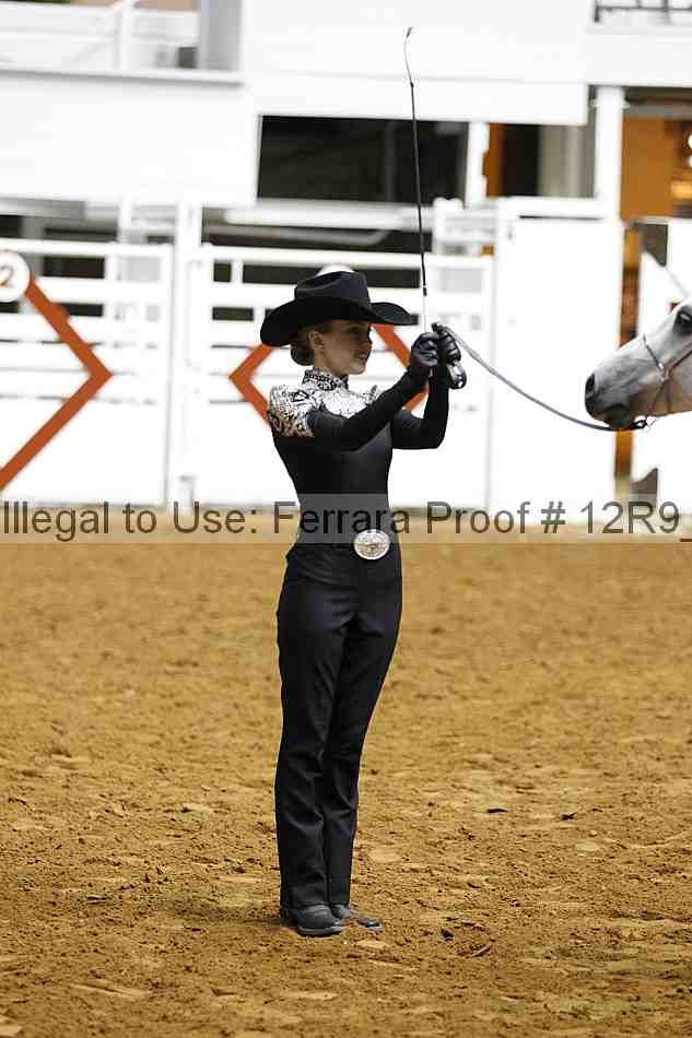 Proof Number 12r9_0276