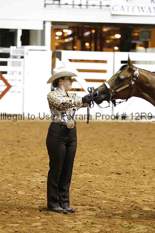 Proof Number 12r9_0278
