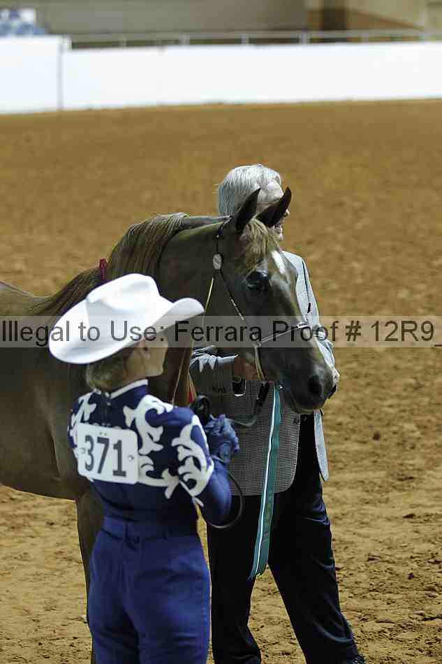 Proof Number 12r9_0303