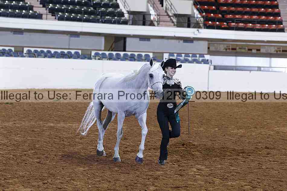 Proof Number 12r9_0309