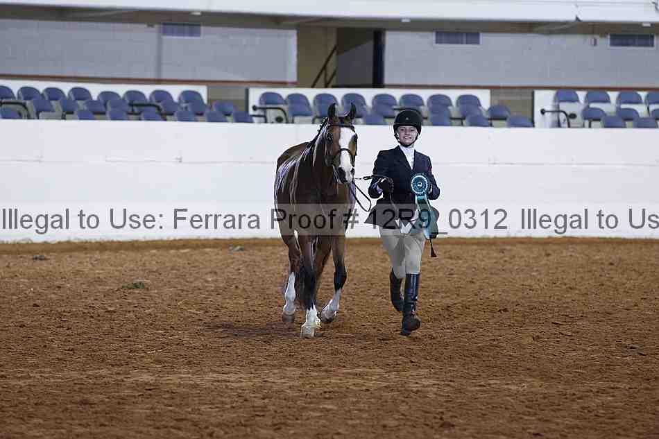 Proof Number 12r9_0312