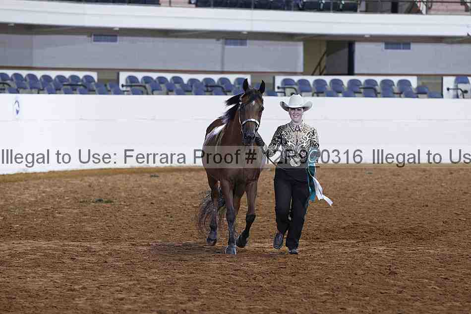 Proof Number 12r9_0316