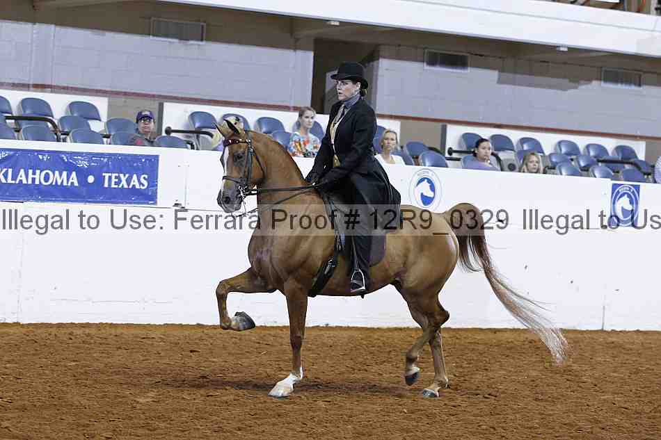 Proof Number 12r9_0329