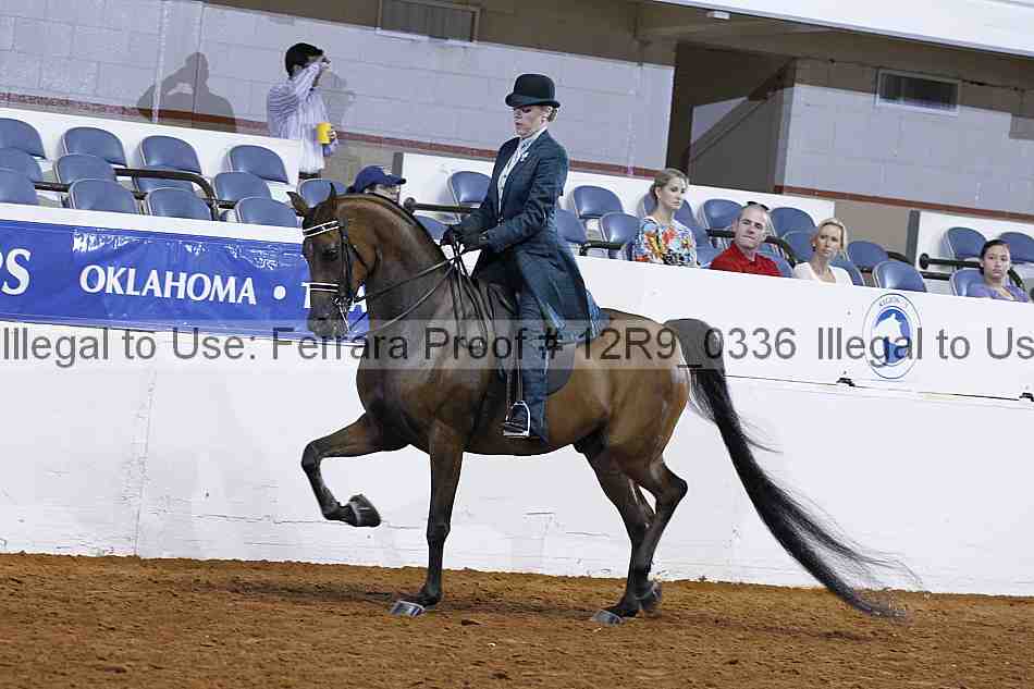 Proof Number 12r9_0336