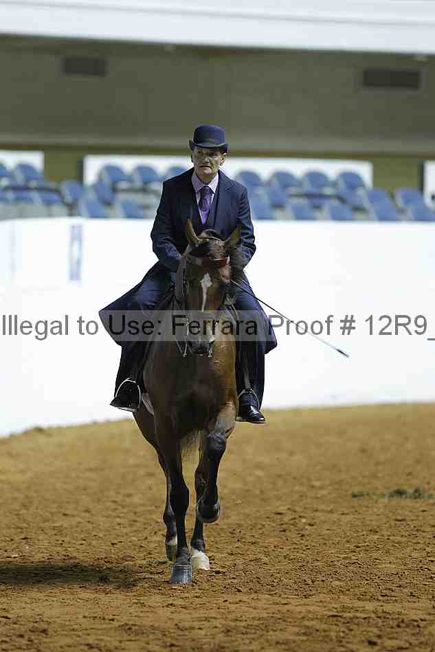Proof Number 12r9_0351