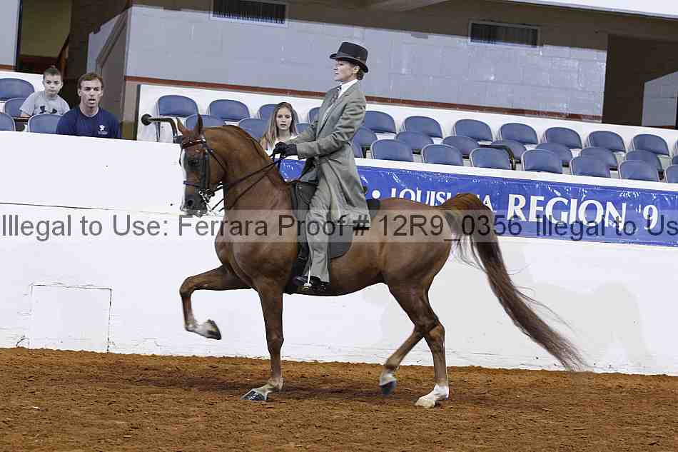 Proof Number 12r9_0356