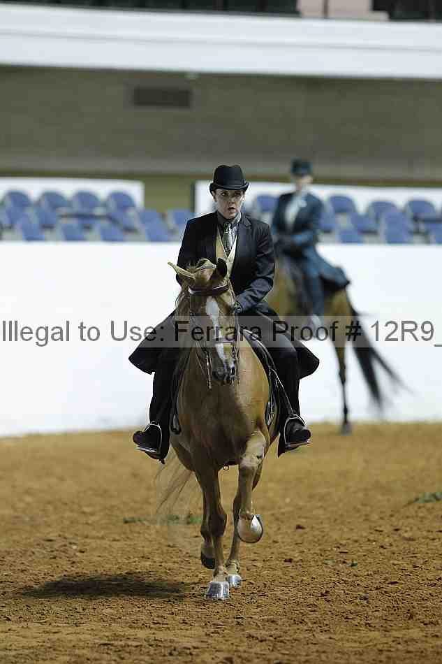 Proof Number 12r9_0357