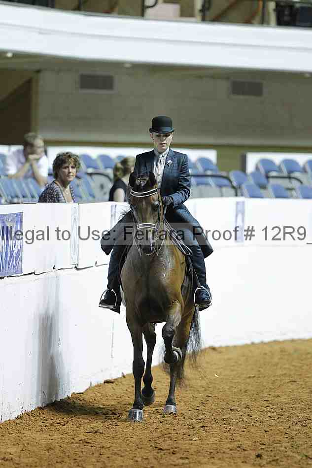 Proof Number 12r9_0358