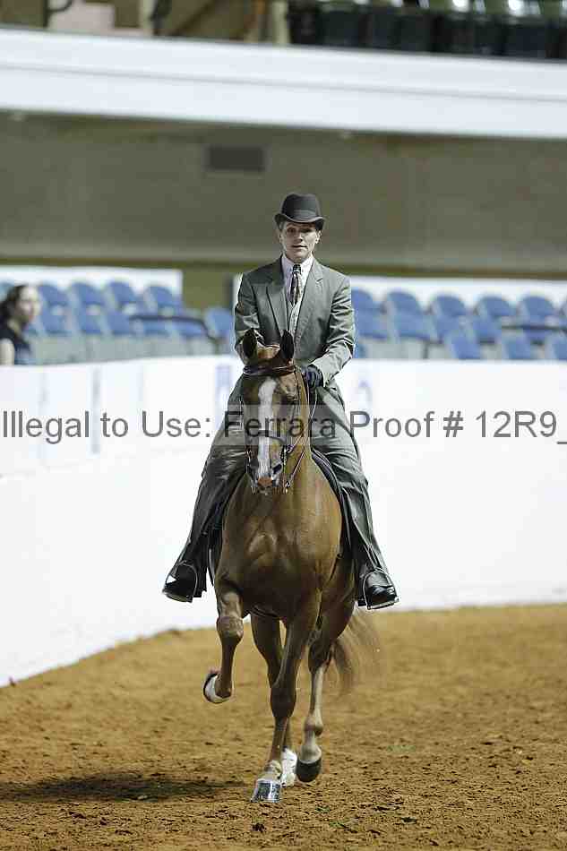 Proof Number 12r9_0361