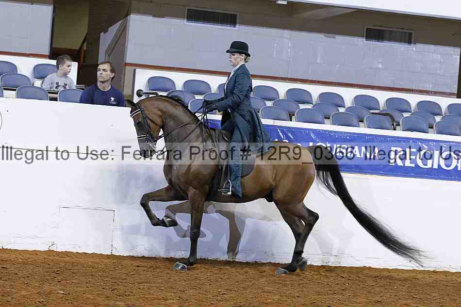 Proof Number 12r9_0366
