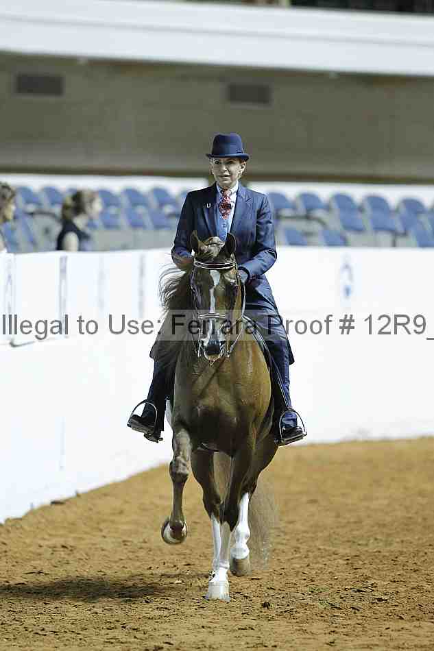 Proof Number 12r9_0368