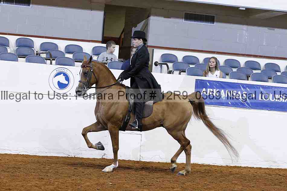 Proof Number 12r9_0369