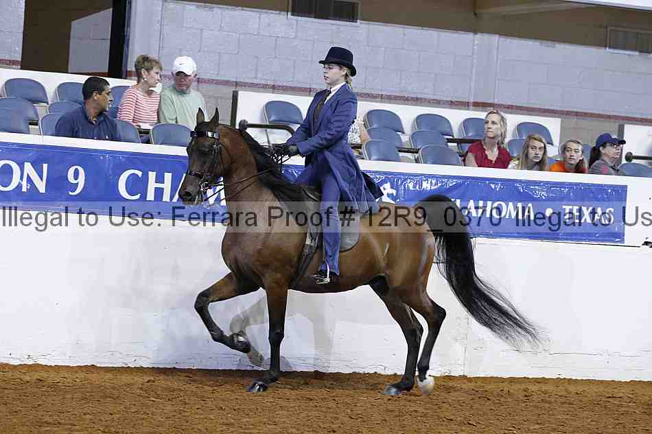 Proof Number 12r9_0370