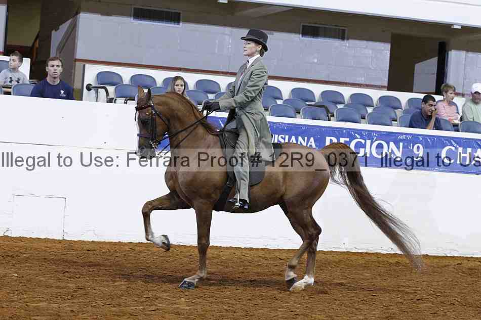 Proof Number 12r9_0371