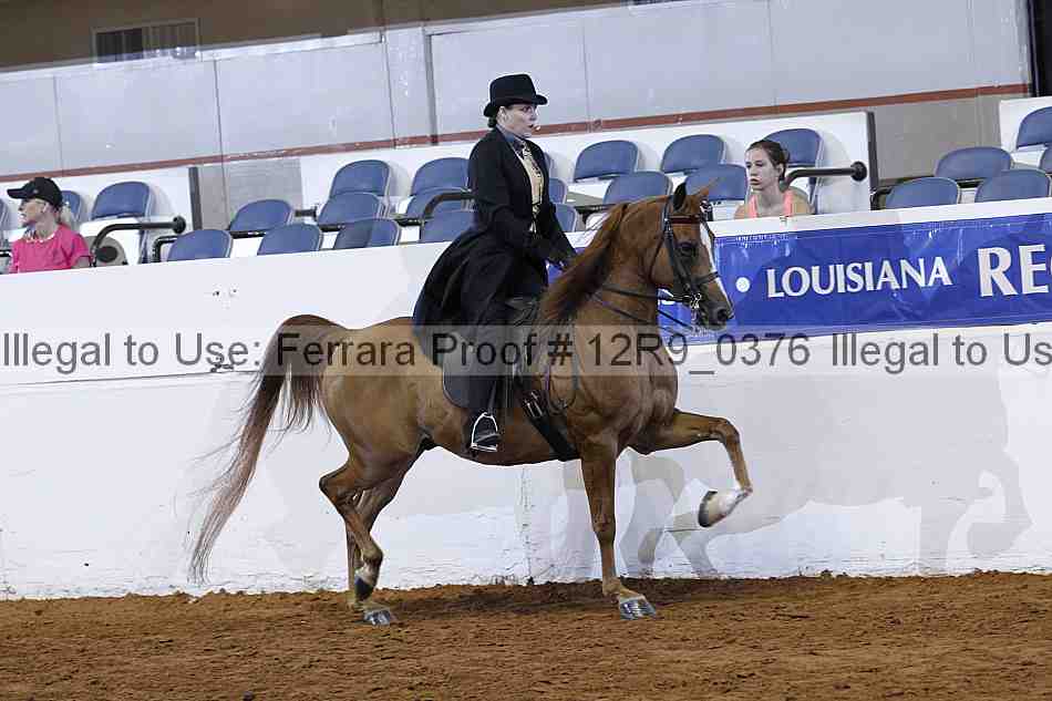 Proof Number 12r9_0376