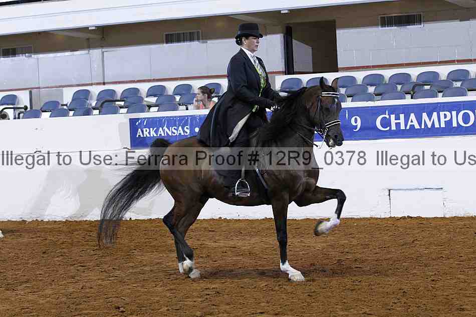 Proof Number 12r9_0378