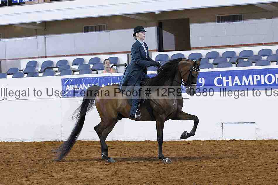 Proof Number 12r9_0380
