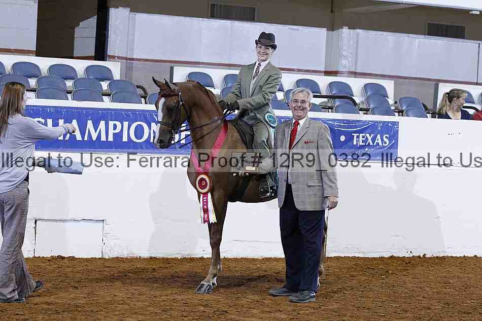 Proof Number 12r9_0382