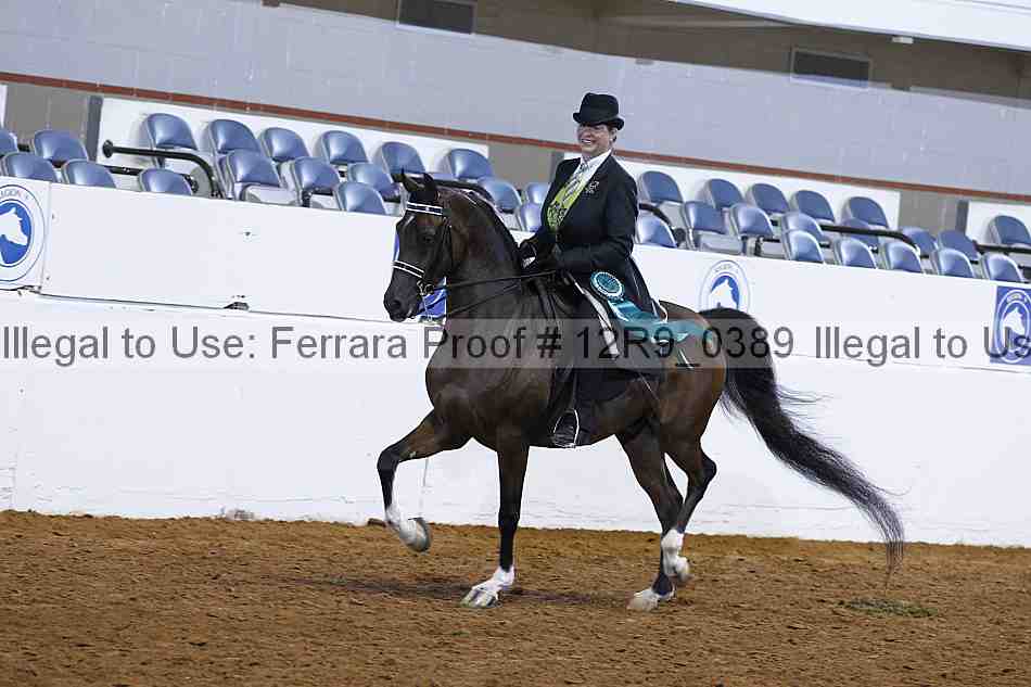 Proof Number 12r9_0389