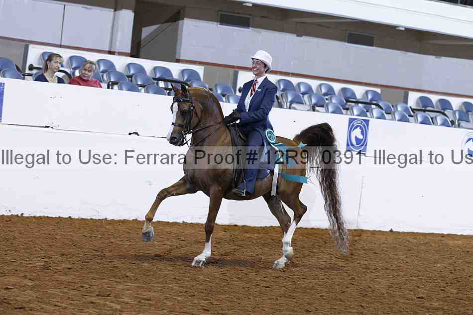 Proof Number 12r9_0391