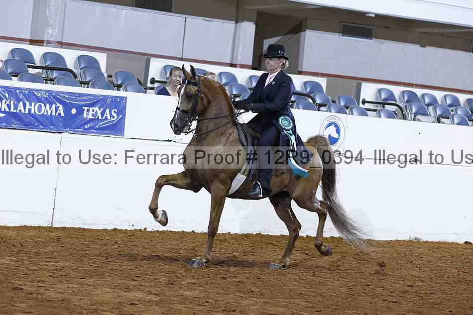 Proof Number 12r9_0394