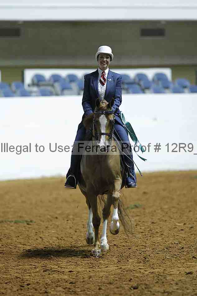 Proof Number 12r9_0398