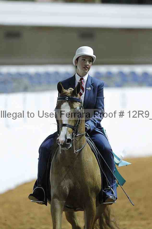Proof Number 12r9_0400